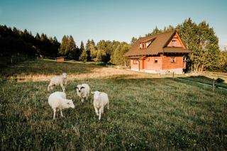 Chata nad Briežkami - 1