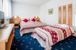 Hotel Coldai - Alleghe - 3