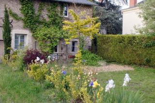Gites de la Thiau - Briare - 0