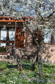 Tenuta Colle Mattia - Colonna - 3