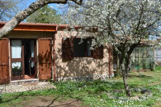 Tenuta Colle Mattia - Colonna - 4