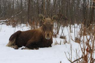 Kwatera na Bagnach - 8