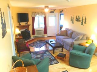Nordic Condo - Lincoln - 9