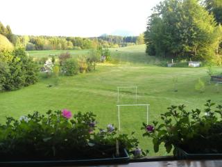 Pension Waldhof - Koppl - 4