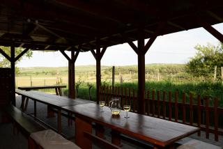 Ubytování u rybníka Bořetice - 4