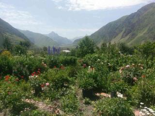 Maiko Guest House - Kazbegi - 4