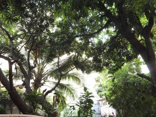 Lamphuhouse Bangkok - 4