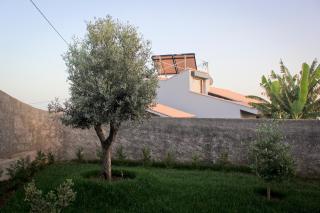 Casa das Andorinhas - Estreito da Calheta - 2