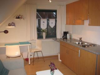 Ferienhaus Wattenhus - 9