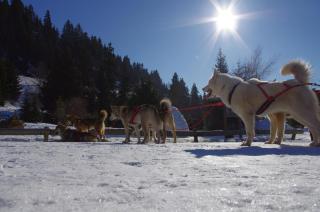 Auberge Restaurant du Virage - Chamrousse - 2