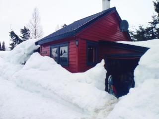 Petterbua - Kleivi - 8