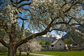 Appartements Sailer - Prutz - 3