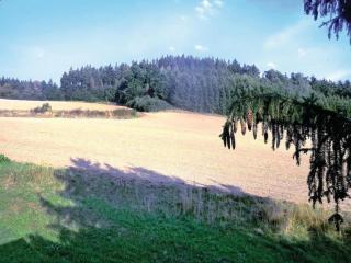Holiday Home Thiergartener Str T - Taltitz - 5