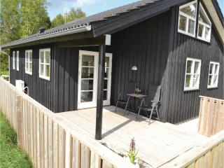 Three-Bedroom Holiday Home With A Fireplace In Frederikshavn - 4