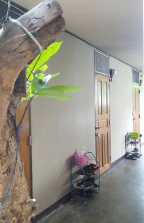 Anurak Guesthouse - Bangkok - 3