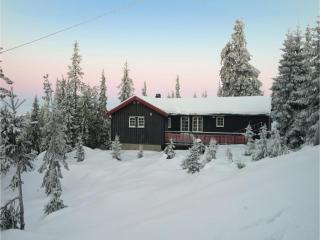 Three-Bedroom Holiday Home In Sjusjoen - Sjusjøen - 7