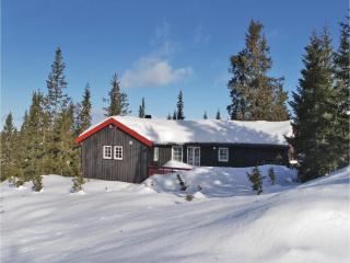 Three-Bedroom Holiday Home In Sjusjoen - Sjusjøen - 5