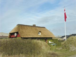 Holiday Home Tingodden Xi - Hvide Sande - 8