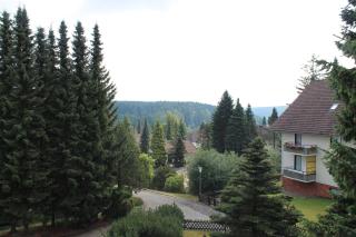 Ferienwohnungen Lübbers - Braunlage - 8