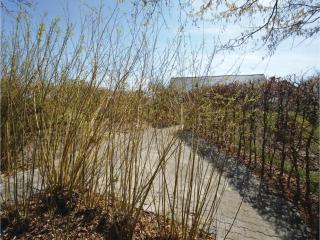 Six-Bedroom Holiday Home In Thyholm - Thyholm - 3
