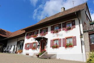 Hotel Landgasthof zum Pflug - Steinen - 9