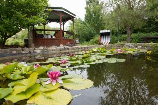 Pension Deichgraf Middelhagen - Middelhagen - 8