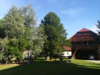 Apartma Obrh - Šmarješke Toplice - 6