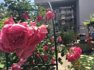 Apartments Milena - Tivat - 0