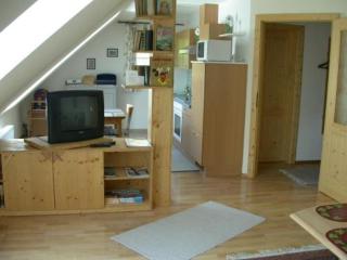 Ferienhaus Feuerer - Obertraun - 7