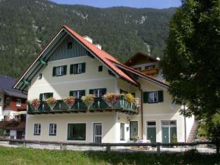 Ferienhaus Feuerer - Obertraun - 0