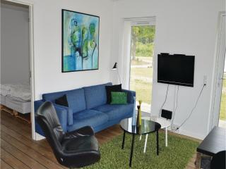 Holiday Home Dyrefolden Ringkøbing Vi - Hee - 5