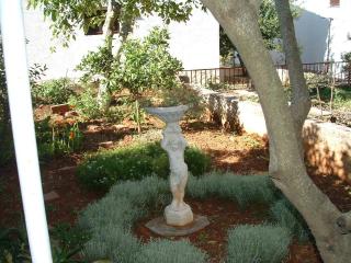 Apartments Runac - Stari Grad - 5