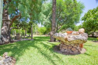 La Sort Llarga (Campomar) - Pollença - 2