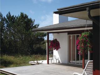 Holiday Home Fyrmarken Hvide Sande Iii - 3