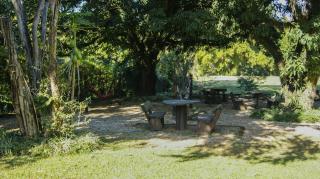 Hotel Pousada Jaguariuna - Jaguariúna - 5