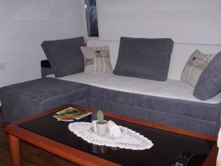 Apartment Maximilian-free parking!!! - Zagabria - 5