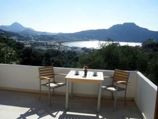 Olive Grove - Plakias - 1