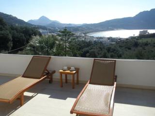 Olive Grove - Plakias - 0