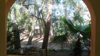 Casa Vacanze La Pineta - Taviano - 7