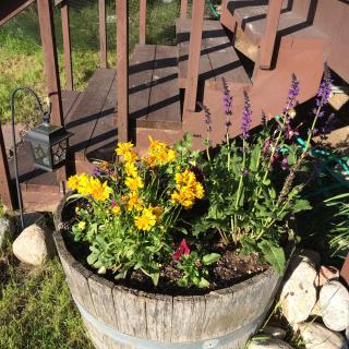 Pine Creek Cabin Livingston Montana - Livingston - 3