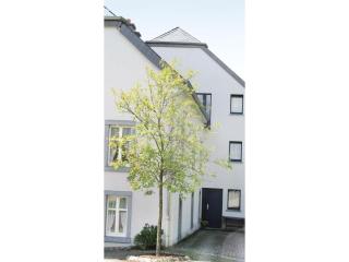Nice Apartment In Noertrange With Wifi - Noertrange - 5