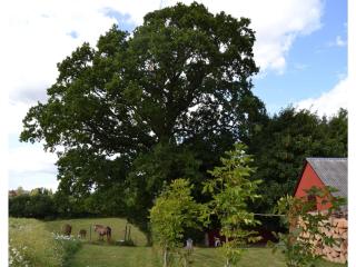 Holiday Home Stouby 07 - Stouby - 3