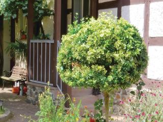 Beautiful Home In Harzgerode-Dankerode - Dankerode - 8