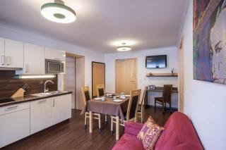Apartment Mozart - Mayrhofen - 3