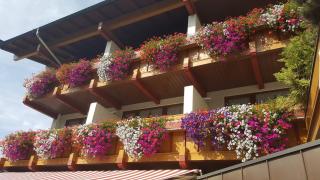 Hotel Gasthof Mitteregger - BEST PLACE in town with summercard included - Kaprun - 1