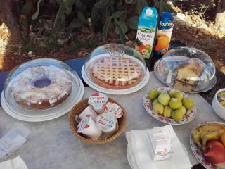 Masseria Centro Colonico B&B - 5