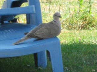 Domaine des Charmilles - 2