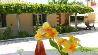 Filoxenia Kontogiannis - 9