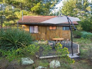 Eco Cabañas Algarrobo - Algarrobo - 8