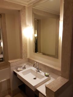 Dia Park Premier - Gurgaon - 8